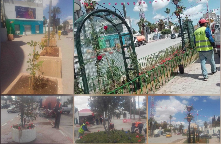 بمناسبة عيد الورد..المناطق الخضراء والشوارع والساحات العامة بأريانة تتزين